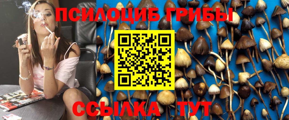 Галлюциногенные грибы Psilocybe Ипатово