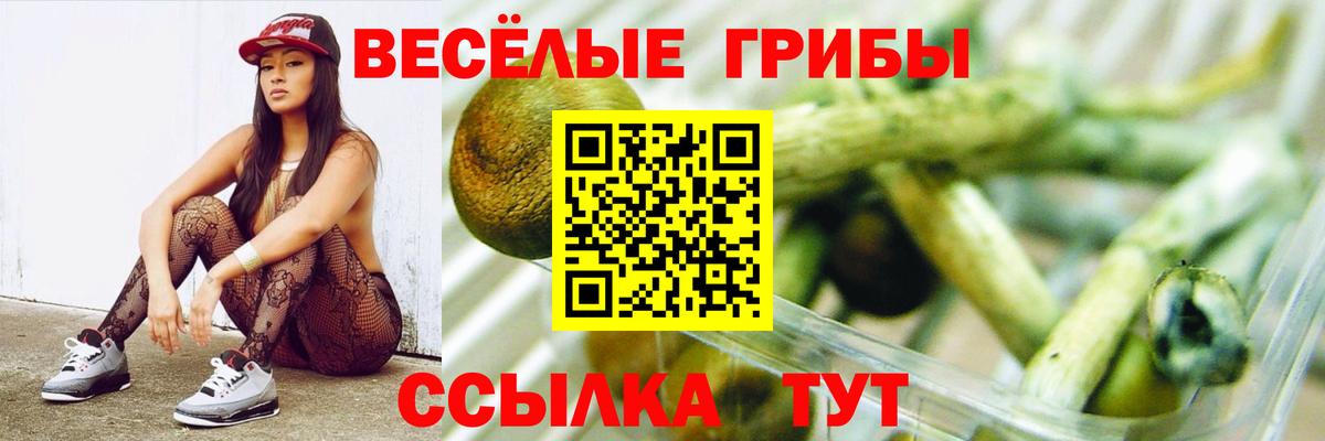 Псилоцибиновые грибы Magic Shrooms  Вход с VPN  Ипатово 